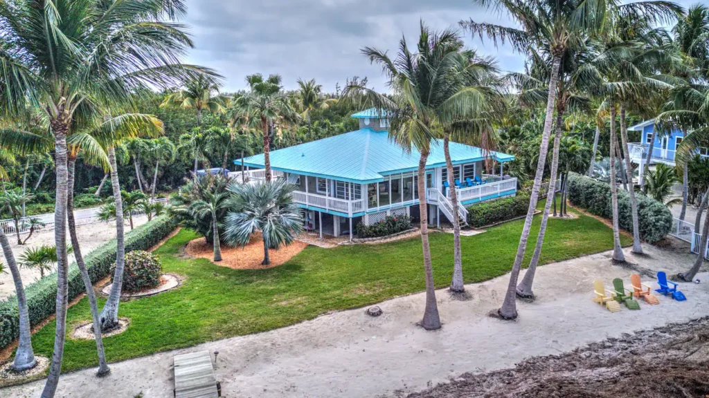 Aerial view of the back yard and your own beach with studded palm trees.